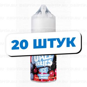 Jazz Berries Salt - Forest Lounge (20 штук / упаковка)