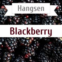 Hangsen Blackberry 10 мл