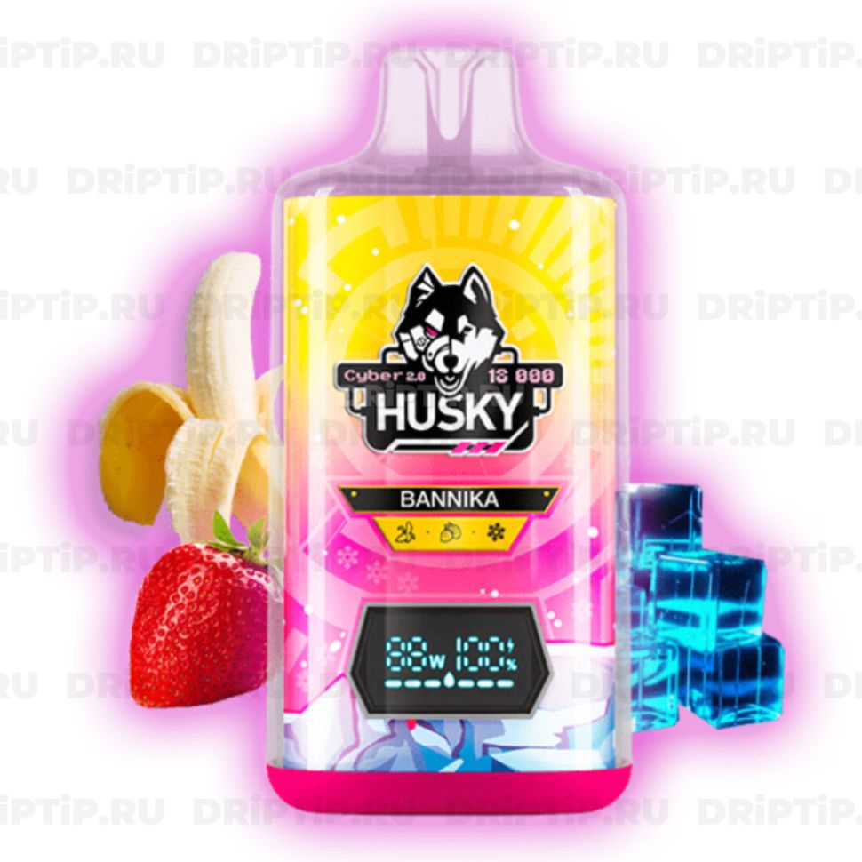 Husky Cyber 2.0 18000 - Bannika