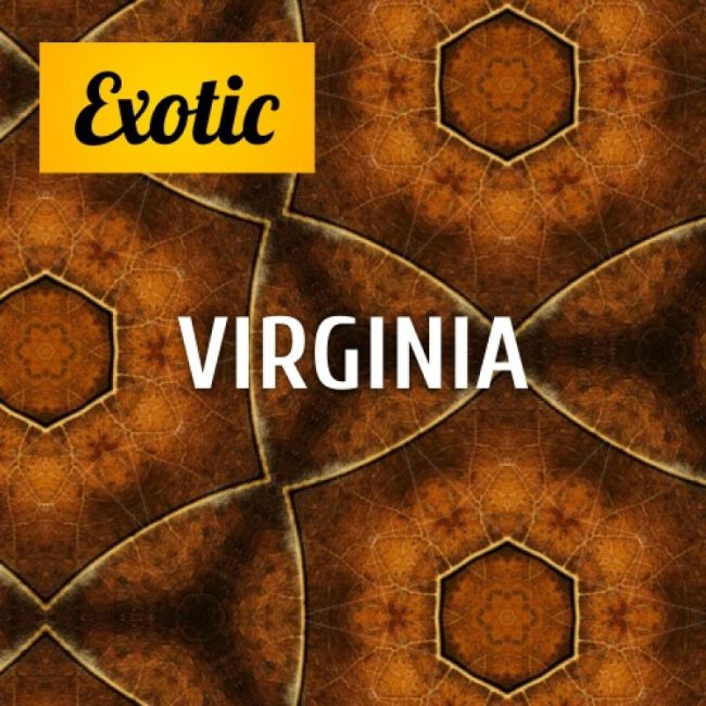 Exotic VIRGINIA 10мл Exotic VIRGINIA 10мл
