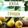 КХПА - Груша 10мл